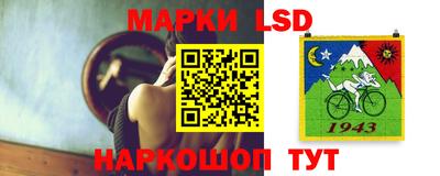 прущие грибы Будённовск