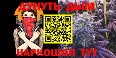 прущие грибы Будённовск