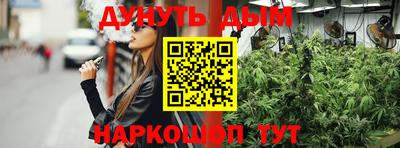 прущие грибы Будённовск