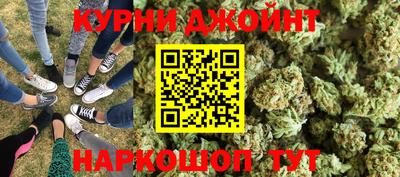 прущие грибы Будённовск