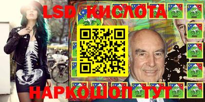 прущие грибы Будённовск