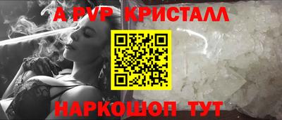 прущие грибы Будённовск