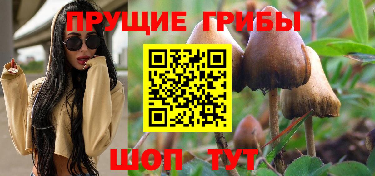 Галлюциногенные грибы GOLDEN TEACHER Симферополь
